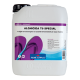 Alghicida T9 Special SENZA RAME Lapi Chimici - Piscina Semplice